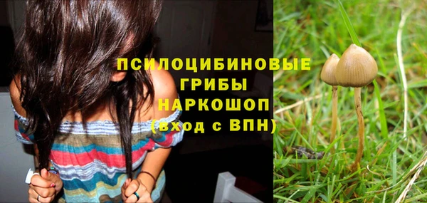 прущие грибы Алексин