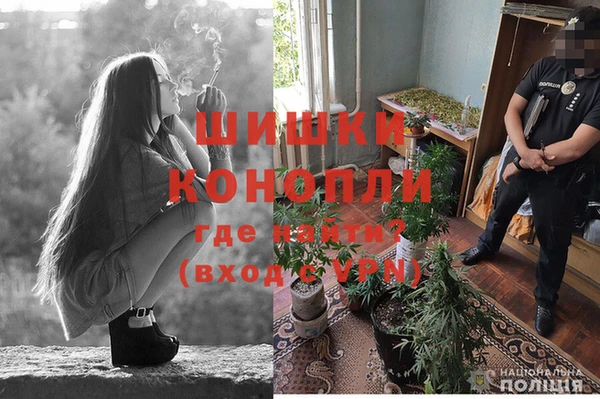 прущие грибы Алексин