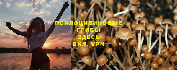 дживик Алзамай