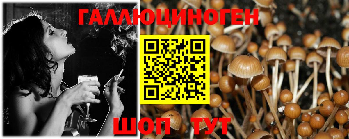 как найти наркотики  Вход с VPN  Набережные Челны  Псилоцибиновые грибы MAGIC MUSHROOMS 